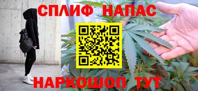 тгк Сланцы